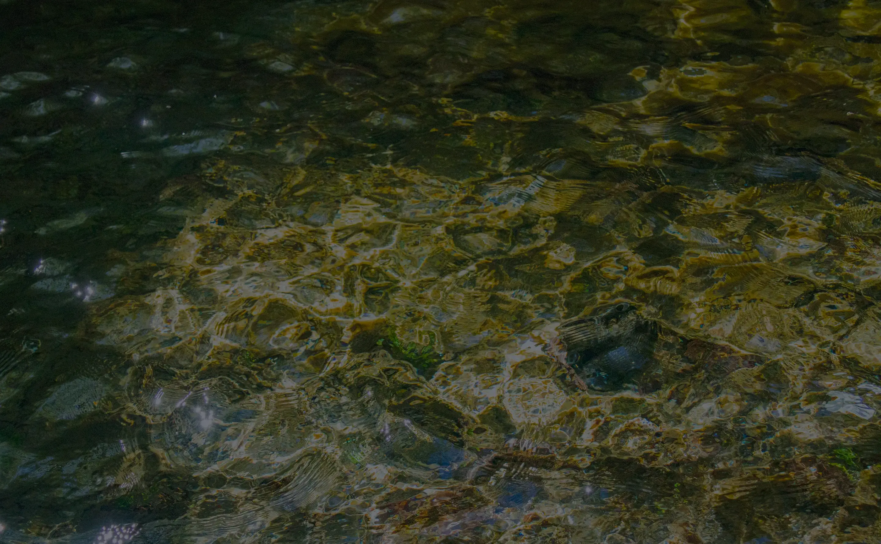 水と時の流れを楽しむ、郡上の隠れ家