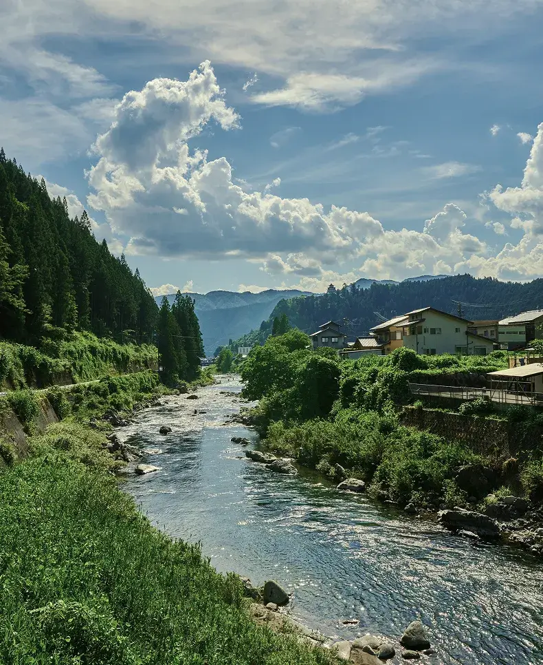 澄んだ水の小川
