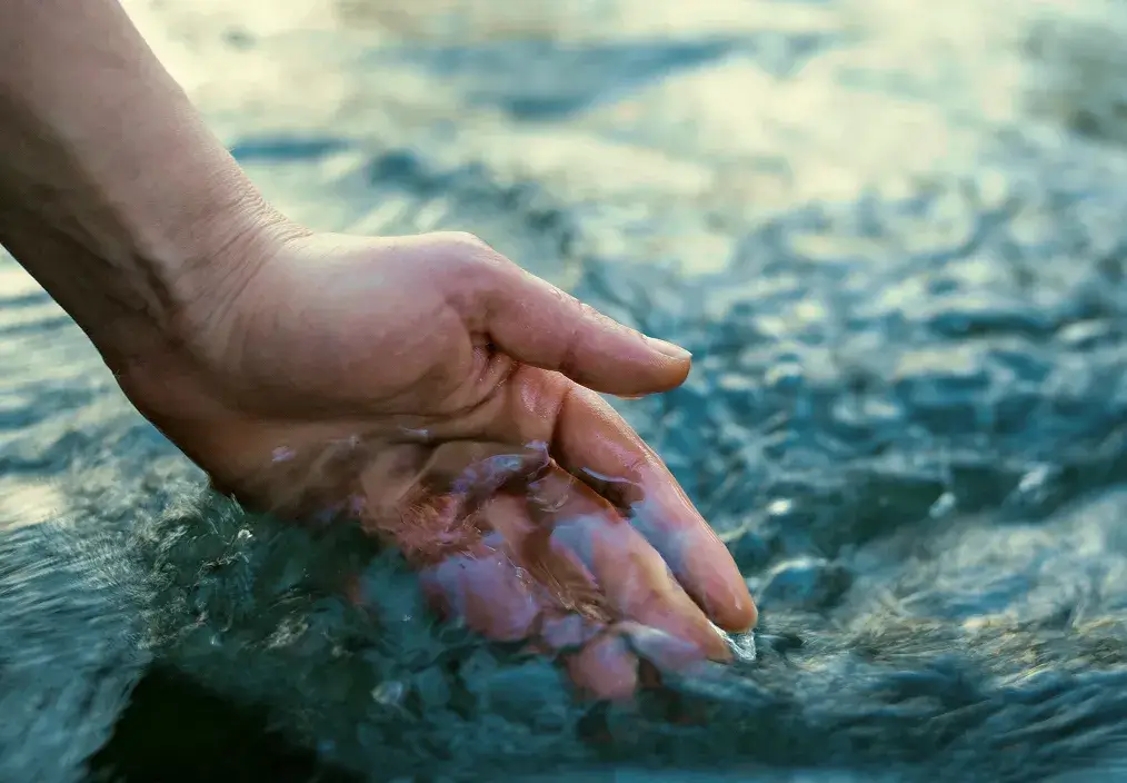 水夏のせせらぎ
